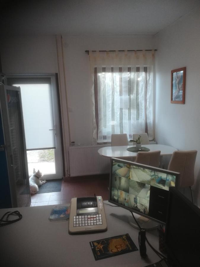 Отель Fekete Macska Panzio Тата Экстерьер фото